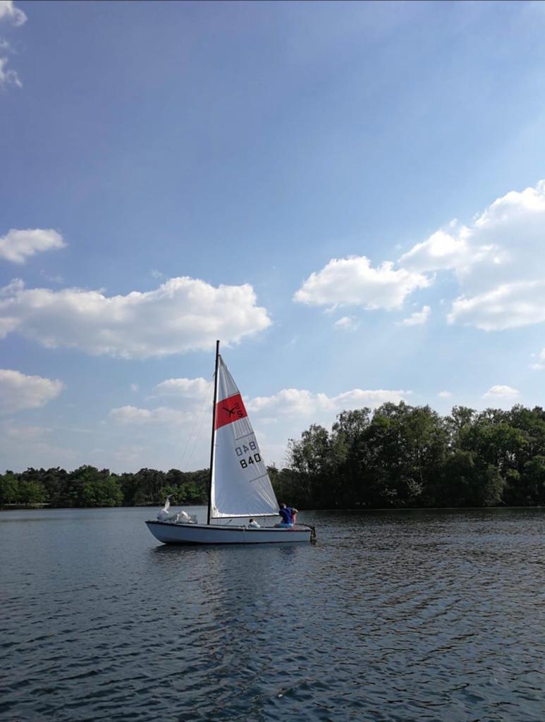 Flying Arrow zeilboot met trailer - gratis op te halen!, Watersport en Boten, Open zeilboten, Ophalen, Gebruikt, Polyester, Flying Arrow