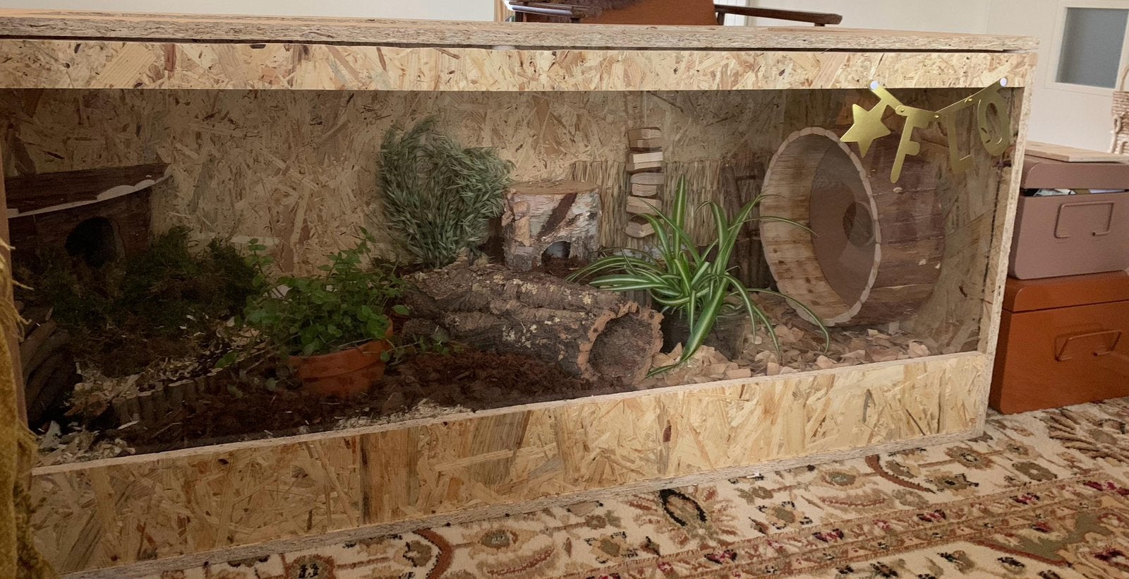 Groot Hamsterhok, 110 cm of meer, Zo goed als nieuw, Ophalen, Minder dan 60 cm