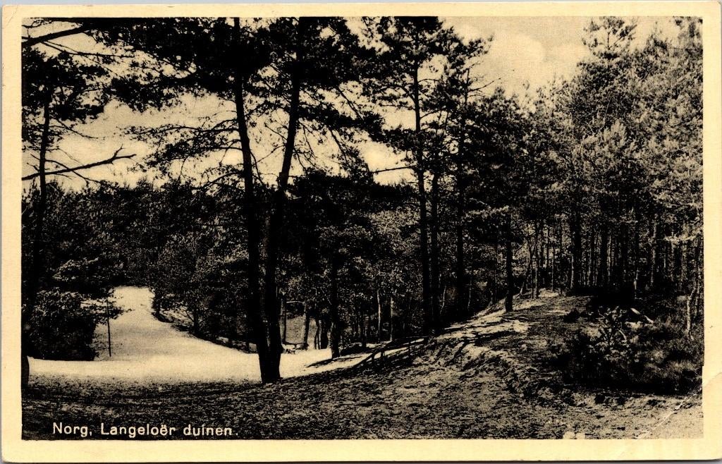 Norg - Langeloër duinen (1939), Verzenden, 1920 tot 1940, Gelopen, Drenthe