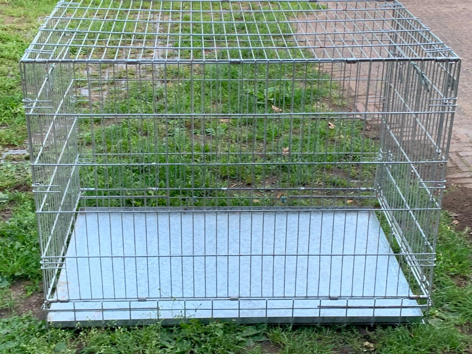 Grote hondenbenche, Dieren en Toebehoren, Ophalen