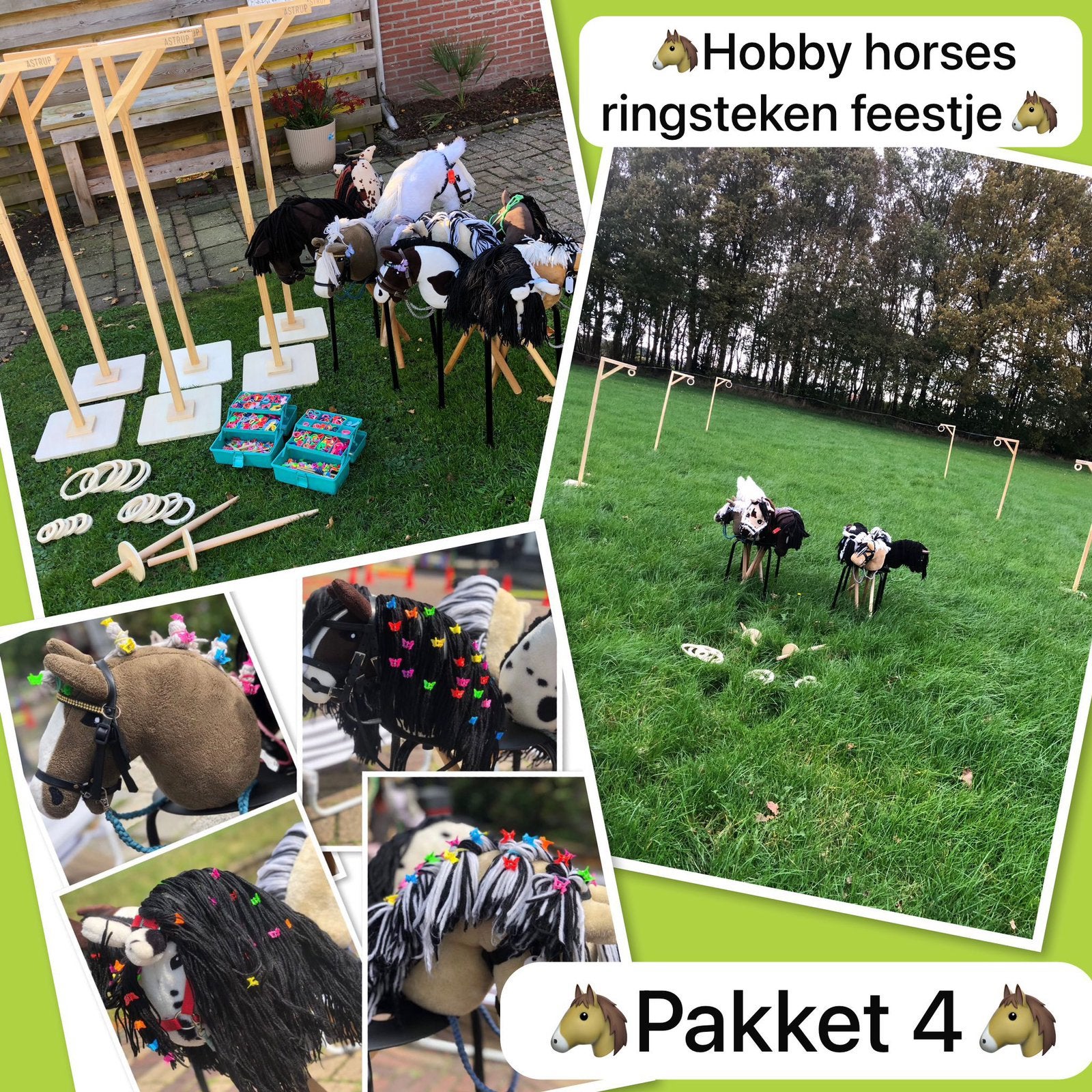 Ringsteken hobby horses verhuur, Ophalen, Overige
