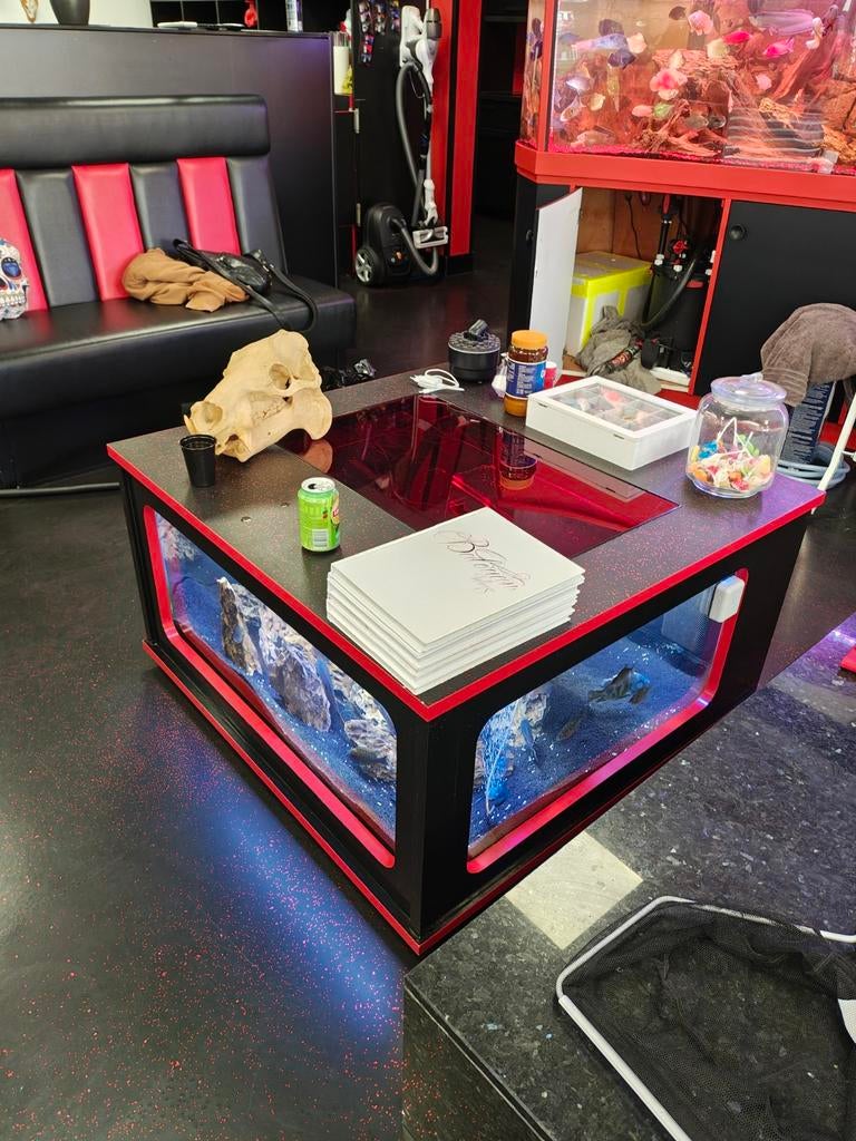 Aqualantis salontafel aquarium (eyecatcher en uniek), Ophalen, Gebruikt, Aquatlantis, Aquariummeubel