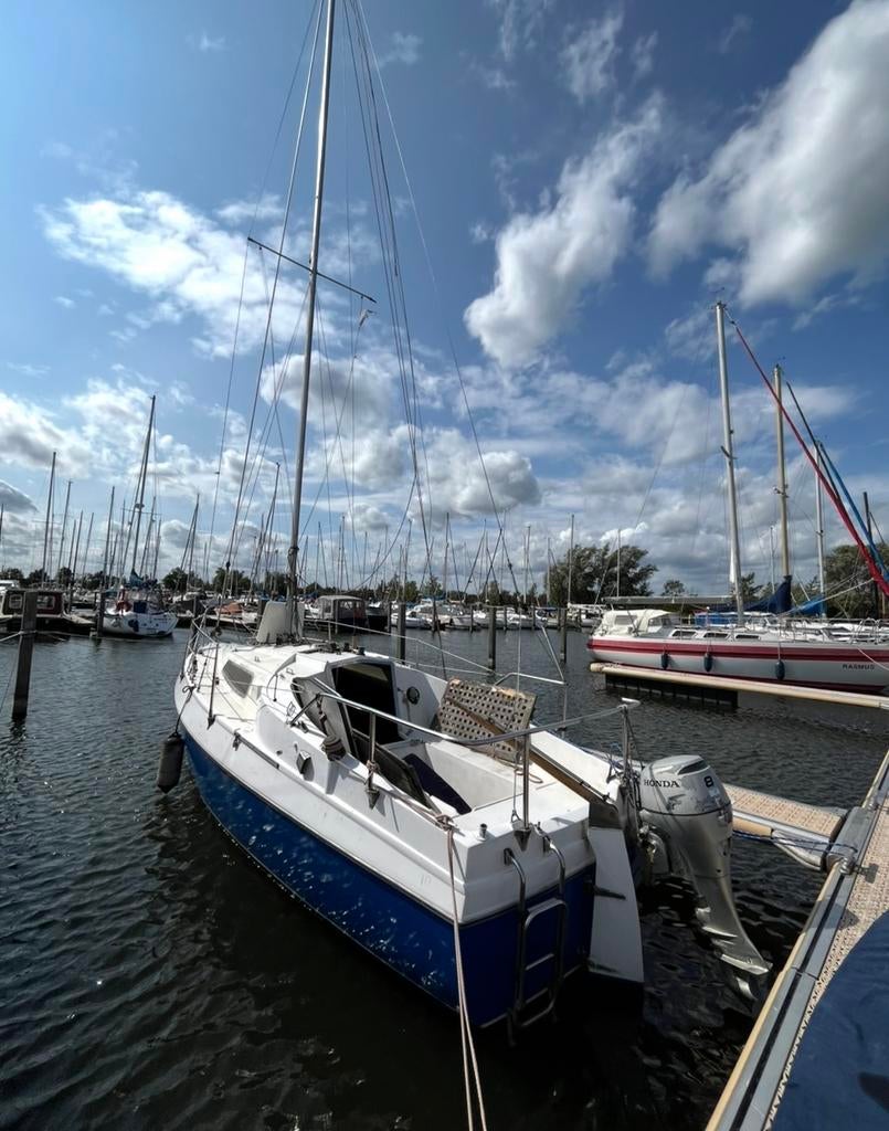 Balaton 24 boot – 7,5m – projectboot – motor defect – Almere, Ophalen, Zo goed als nieuw, Polyester, Benzine