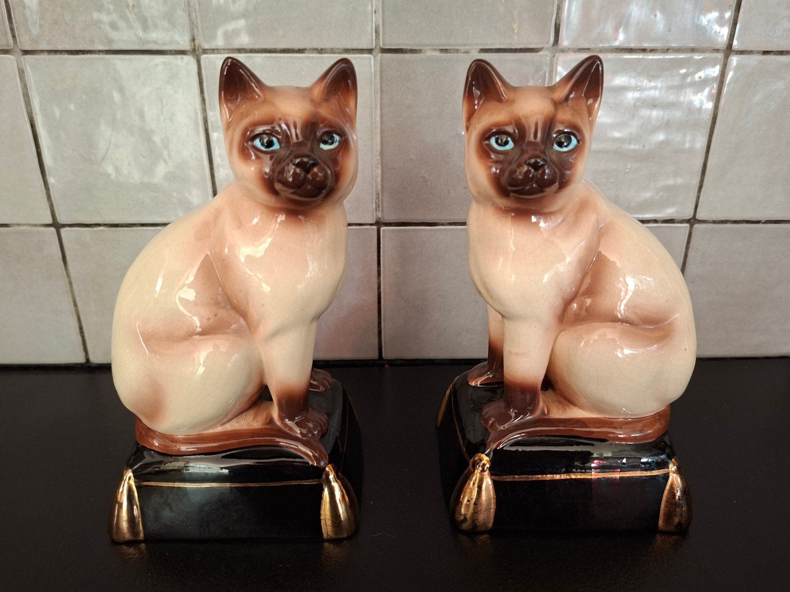 Engelse Siamese katten beelden, Ophalen of Verzenden