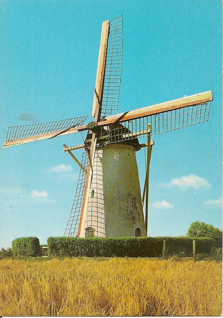 Ansichtkaart Biggekerke, Korenmolen, gebouwd in 1712, Ophalen of Verzenden, 1980 tot heden, Ongelopen, Zeeland