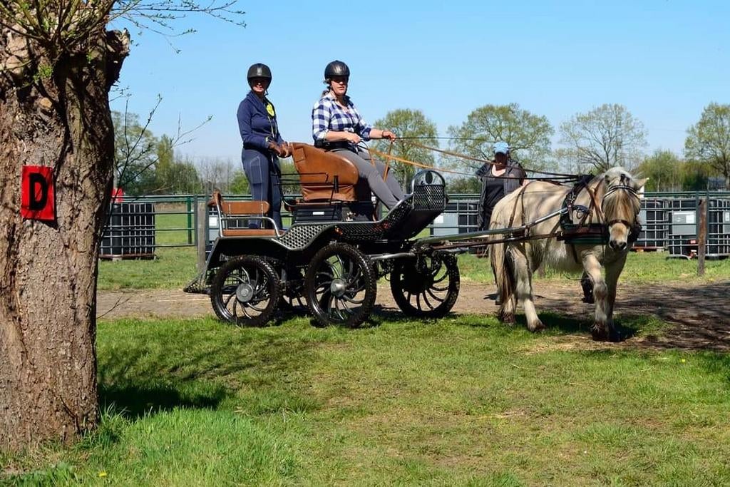 Menwagen.  Met schijfrem en luchtvering, Ophalen, Gebruikt