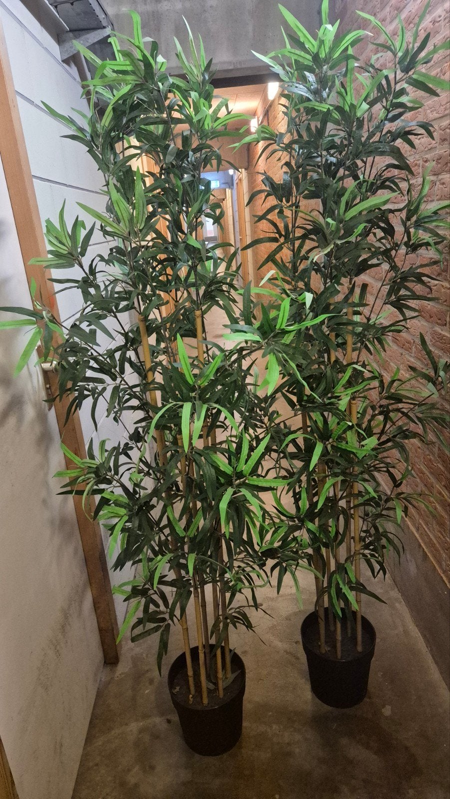 Grote Kunst Bamboe Plant - Realistisch en Onderhoudsvrij, Ophalen, Groen, Met pot of vaas, Kunstplant