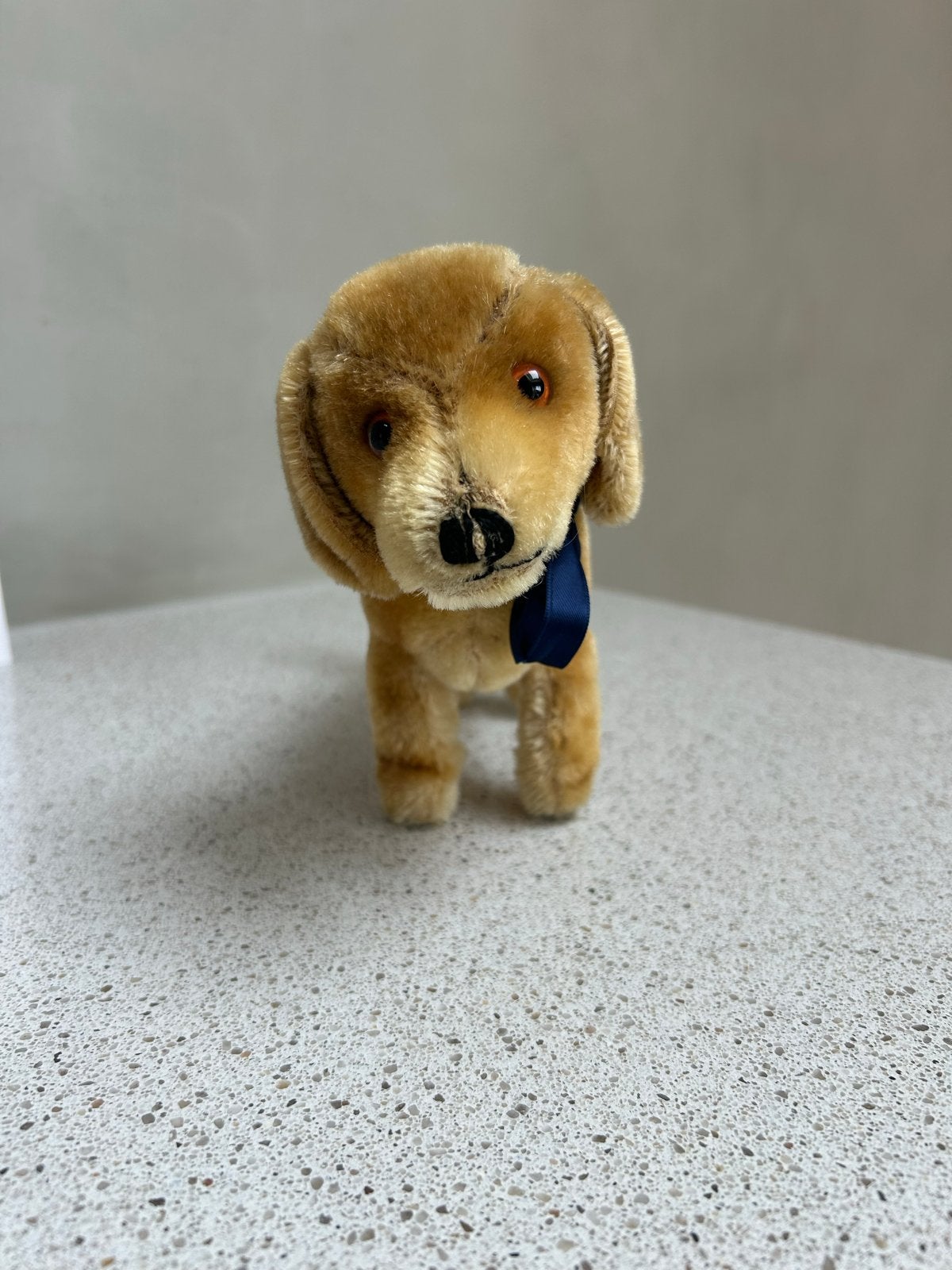Steiff Teckel Knuffel Hond - Vintage, Overige merken, Zo goed als nieuw, Middelgroot (20 tot 80 cm), Met kleding of accessoire