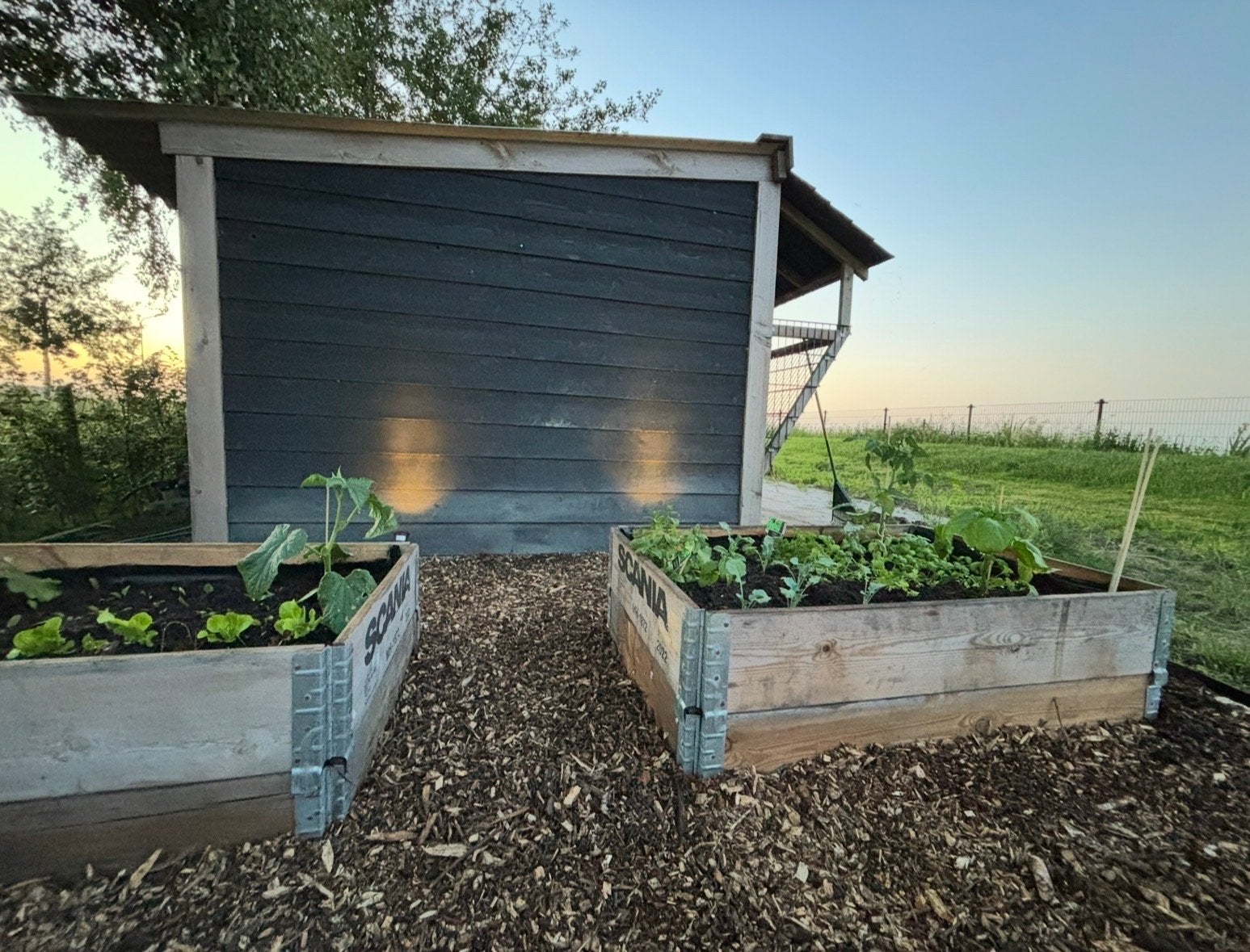 Gebruikte houten palletranden voor moestuin of bloembak, Ophalen, Gebruikt, Minder dan 30 cm, 100 cm of meer