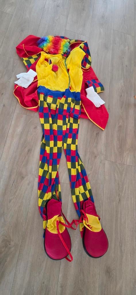 Clownspak compleet met accessoires, Ophalen of Verzenden, Zo goed als nieuw