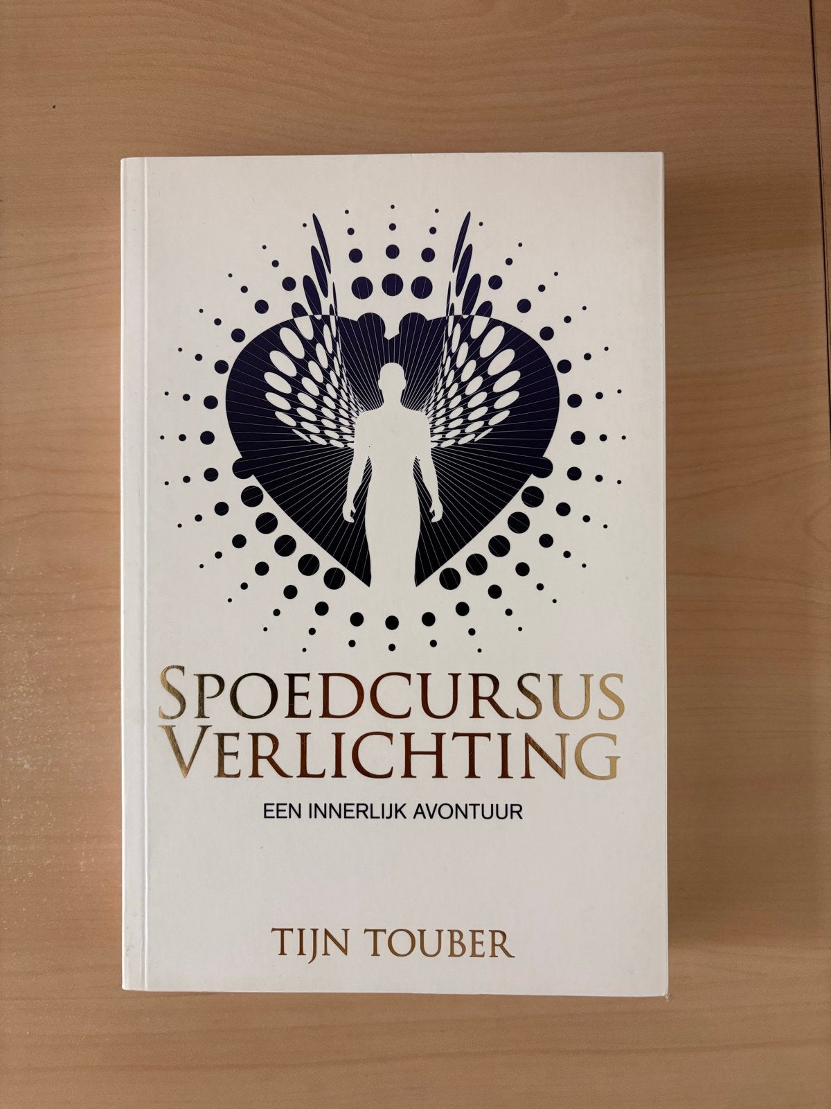 Spoedcursus Verlichting: Een Innerlijk Avontuur - Tijn Toube, Boeken, Ophalen of Verzenden, Zo goed als nieuw, Spiritualiteit algemeen
