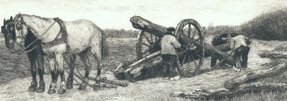 litho paarden met bomen kar Wilm Steelink 1856-1926, Dagelijks leven, Verzenden, Origineel, Lithografie
