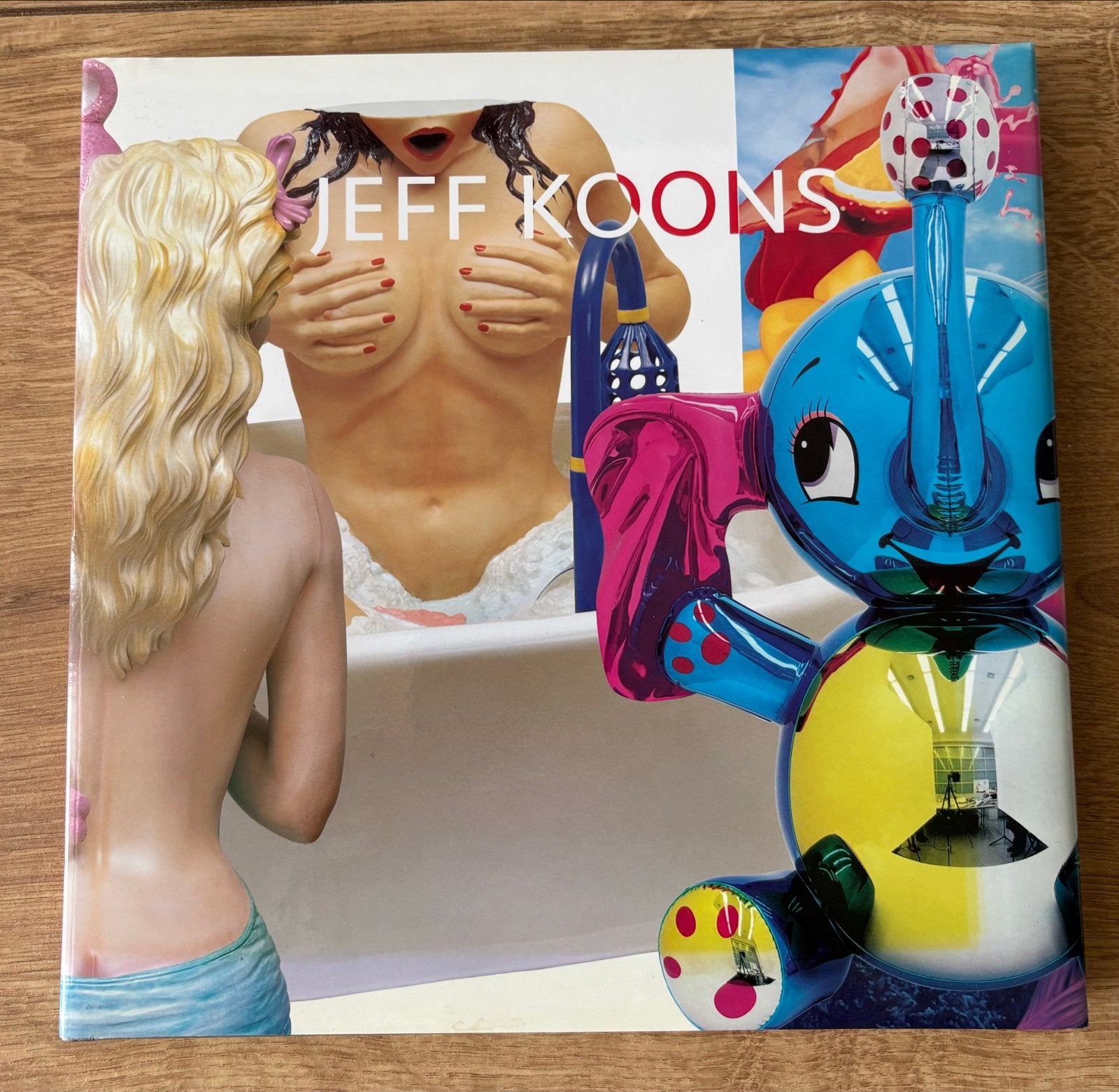 Jeff Koons Boek - Museum of Contemporary Art Chicago, Boeken, Ophalen of Verzenden, Gelezen, Overige onderwerpen