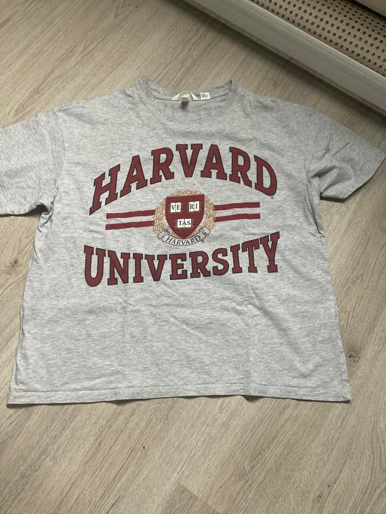 T shirt dames grijs m h&m, Ophalen of Verzenden, Zo goed als nieuw, Grijs, Korte mouw