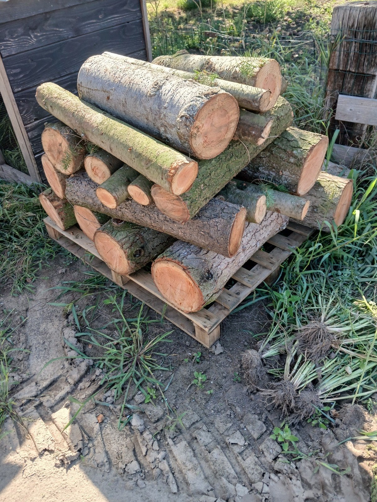 haardhout, Minder dan 3 m³, Ophalen of Verzenden