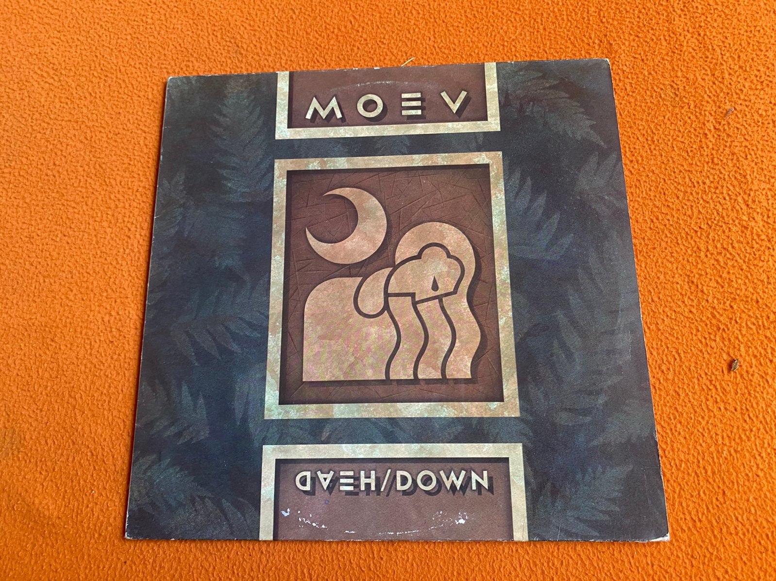 Moev