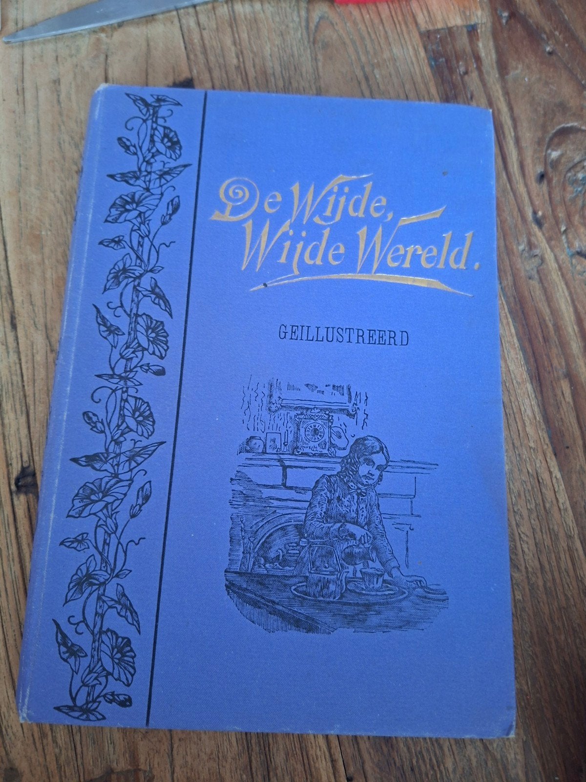 De Wijde, Wijde Wereld - Oude Nederlandse Editie, Antiek en Kunst, Ophalen of Verzenden, Susan Warner (Elizabeth Wetherell)