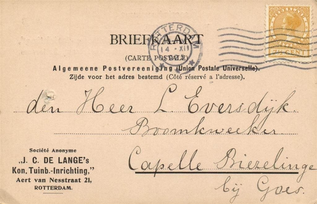 J.C. de Lange, Kon. Tuinb.-Inrichting, Rotterdam - 12.1925 -, Ophalen of Verzenden, Briefkaart