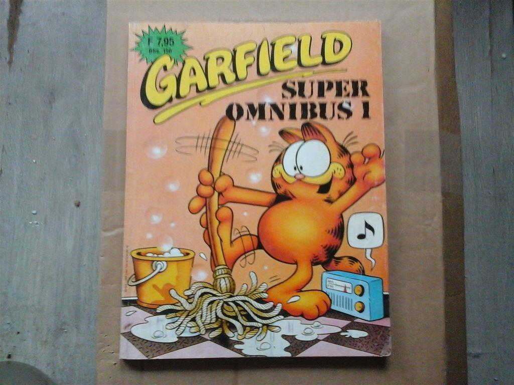ns5-garfield super omnibus 1-uitstekende staat, Boeken, Stripboeken, Eén stripboek, Ophalen of Verzenden, Zo goed als nieuw