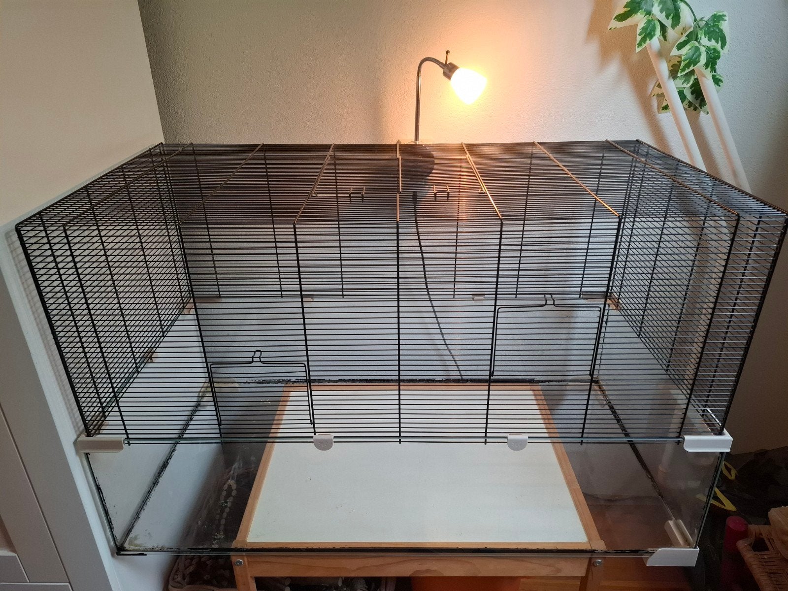 Hamsterkooi met veel toebehoren (hamsterscaping)