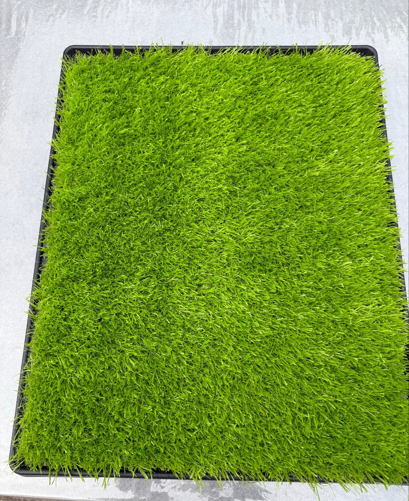 Hondentoilet Kunstgras met opvanglade, Ophalen of Verzenden, Gebruikt, Minder dan 10 m², Kunstgras