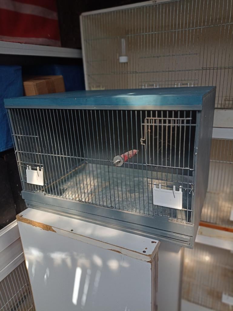 te koop broed kooi B60 H 40 D 40 prijs 30 euro, Dieren en Toebehoren, Ophalen