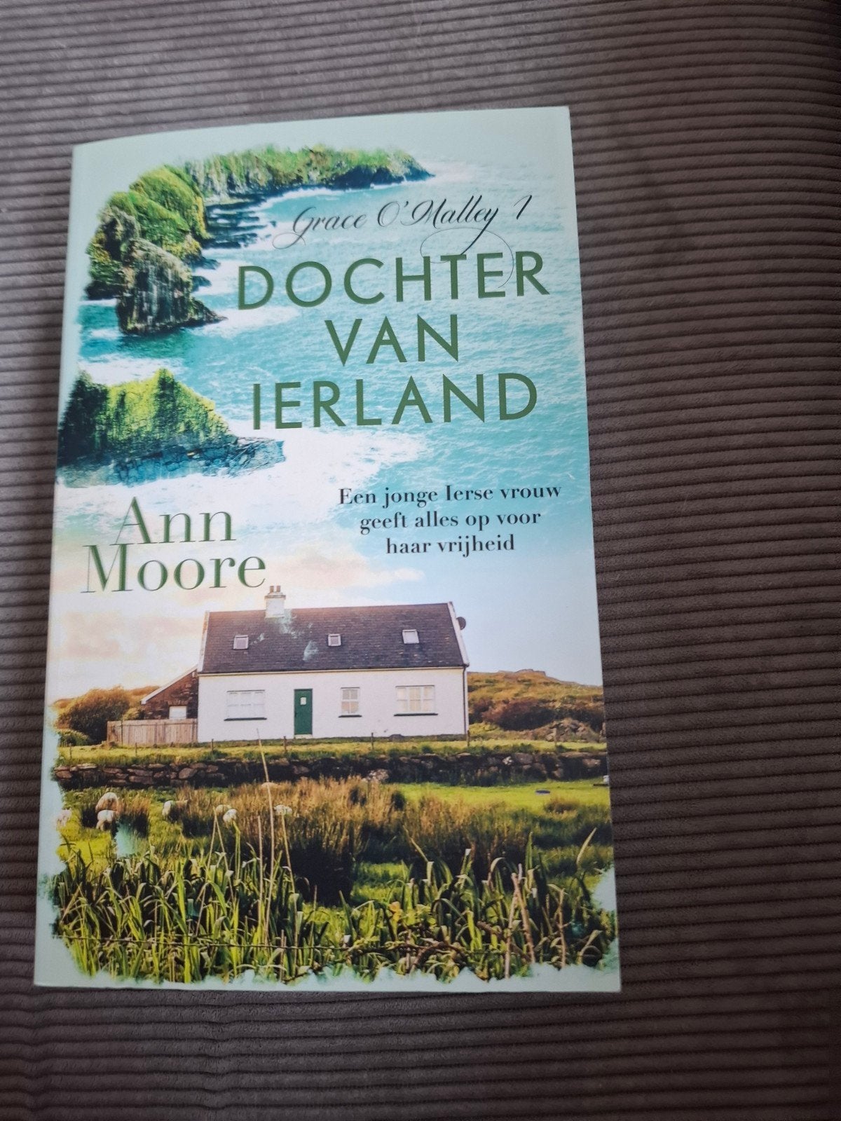 Ann Moore - Dochter van Ierland, Boeken, Literatuur, Zo goed als nieuw, Ophalen of Verzenden