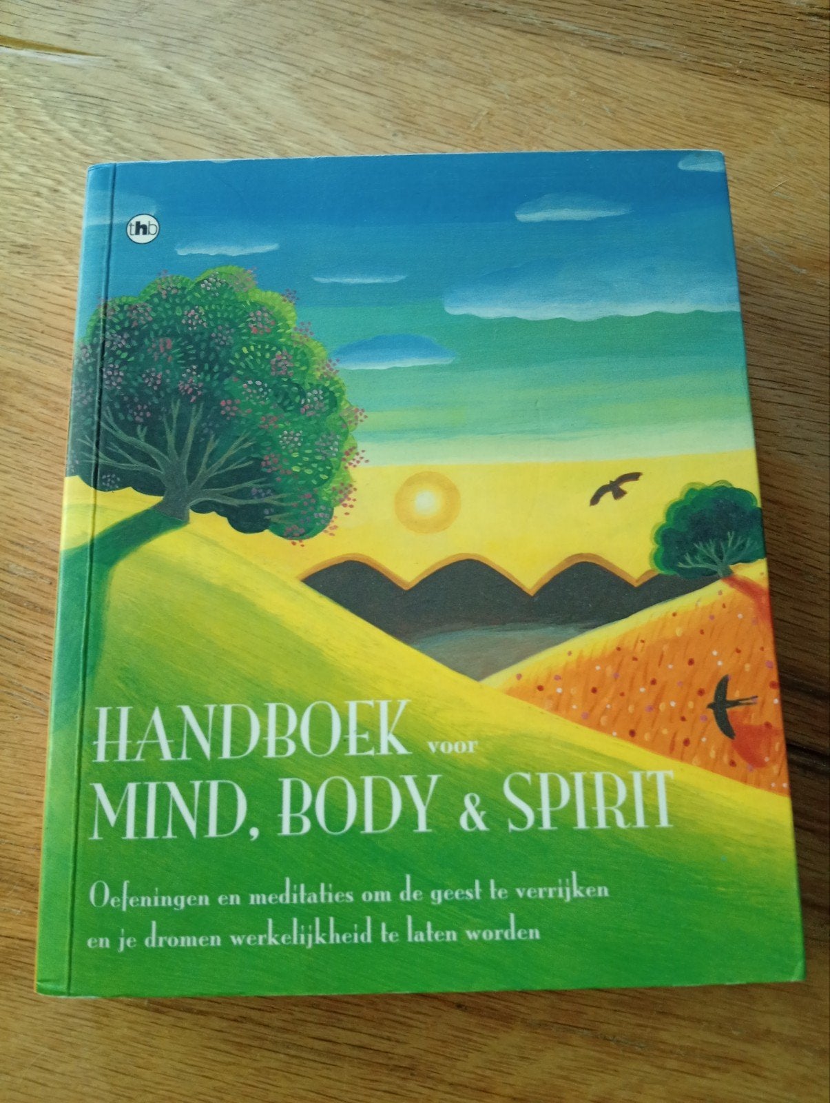 Handboek voor Mind, Body & Spirit, Boeken, Onbekend, Meditatie of Yoga, Ophalen of Verzenden, Zo goed als nieuw