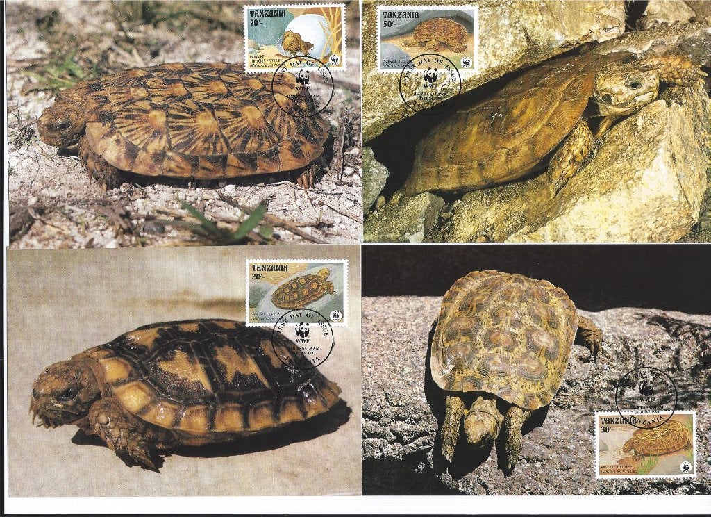 Schildpadden Tanzania wwf wnf 4 maxikaarten bedreigde diers, Postzegels en Munten, Postzegels | Eerstedagenveloppen, Ophalen of Verzenden