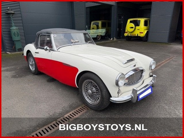Austin HEALEY 100/6 (BN4) Overdrive, Auto's, Oldtimers, Overige carrosserieën, 4 stoelen, Wit, Leder