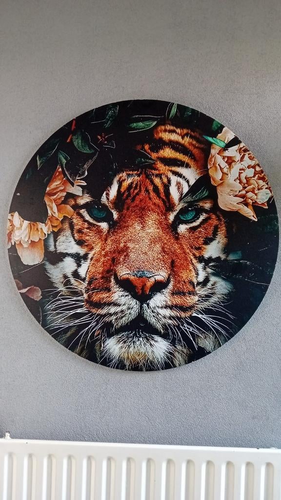 Tijger canvas, Ophalen