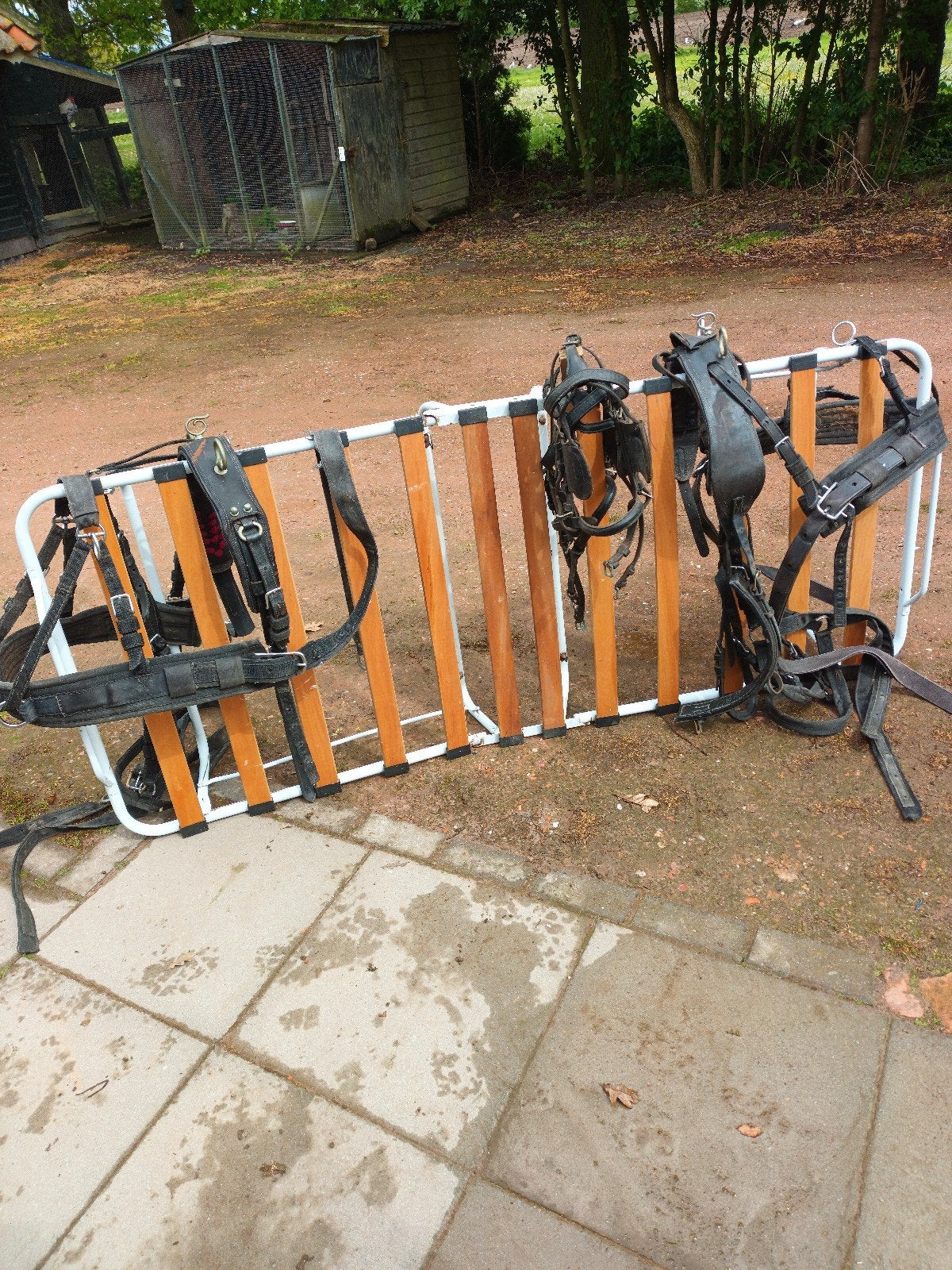 Te koop, Dieren en Toebehoren, Ophalen, Pony
