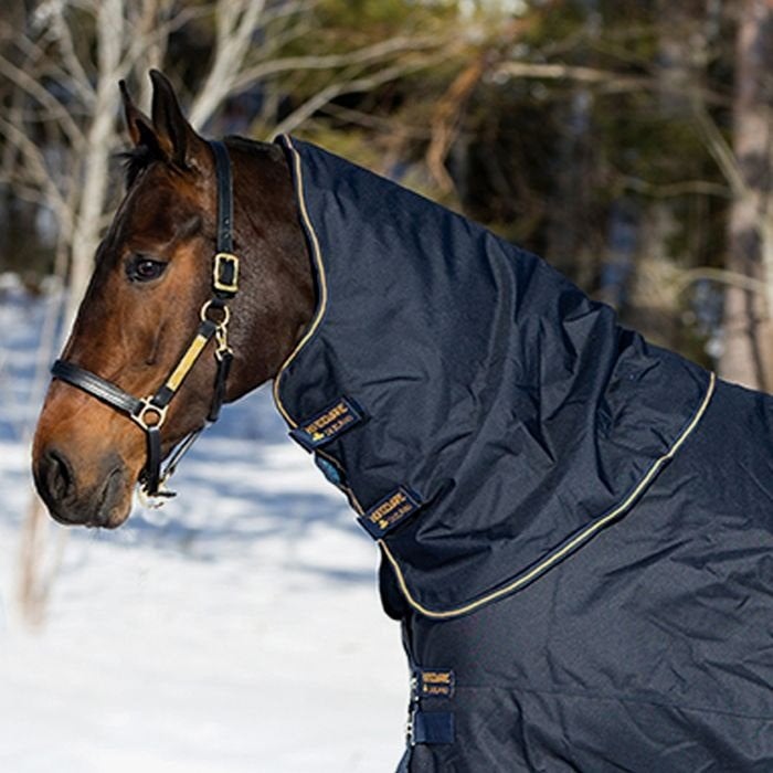 Amigo Bravo 12 Hood XL, 150 gram, Losse hals, maat XL, Halsdeken, Afneembare hals, Nieuw, Extra Full (XL)