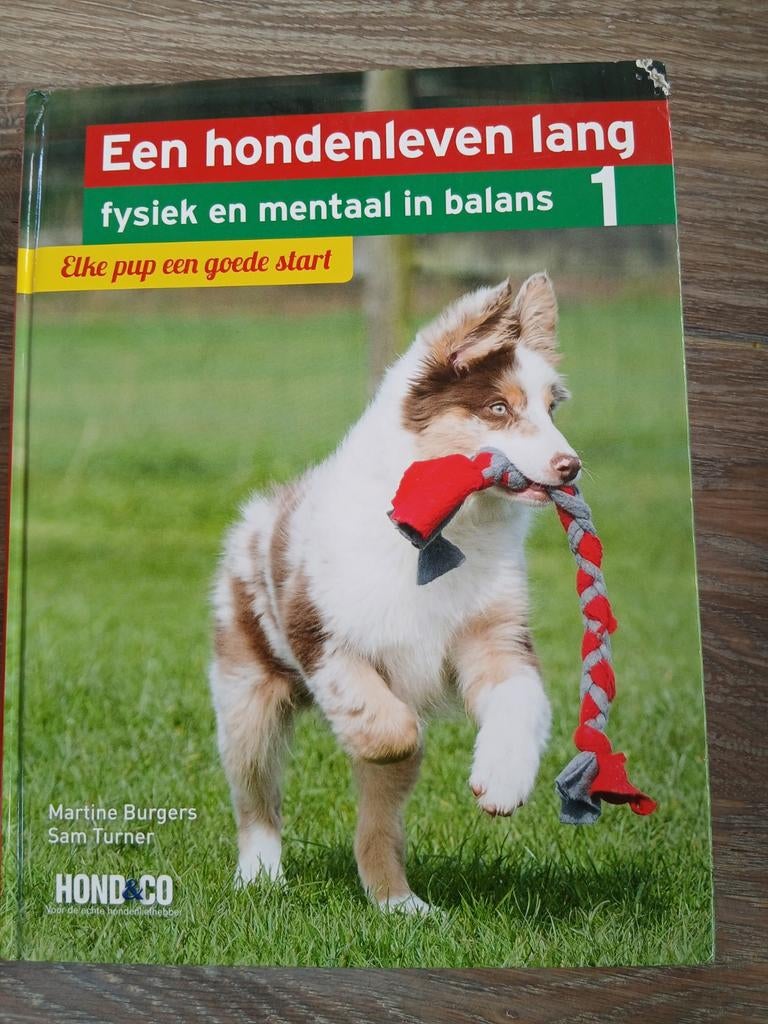 Hondenleven Lang: Fysiek & Mentaal in Balans - Deel 1, Ophalen of Verzenden, Gelezen, Honden, Martine Burgers, Sam Turner