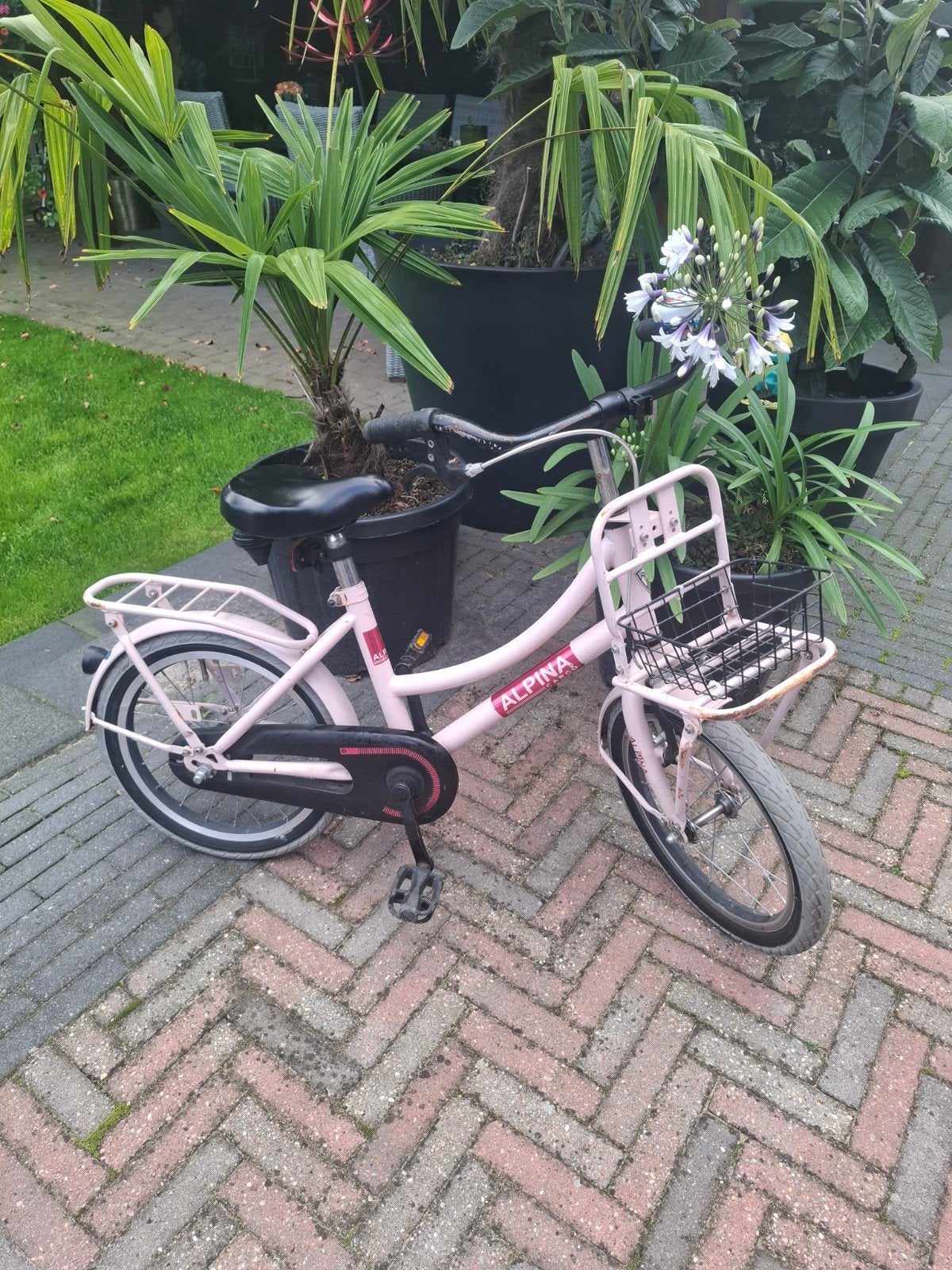 Alpine meisjesfiets, Fietsen en Brommers, Ophalen, Gebruikt, 16 inch