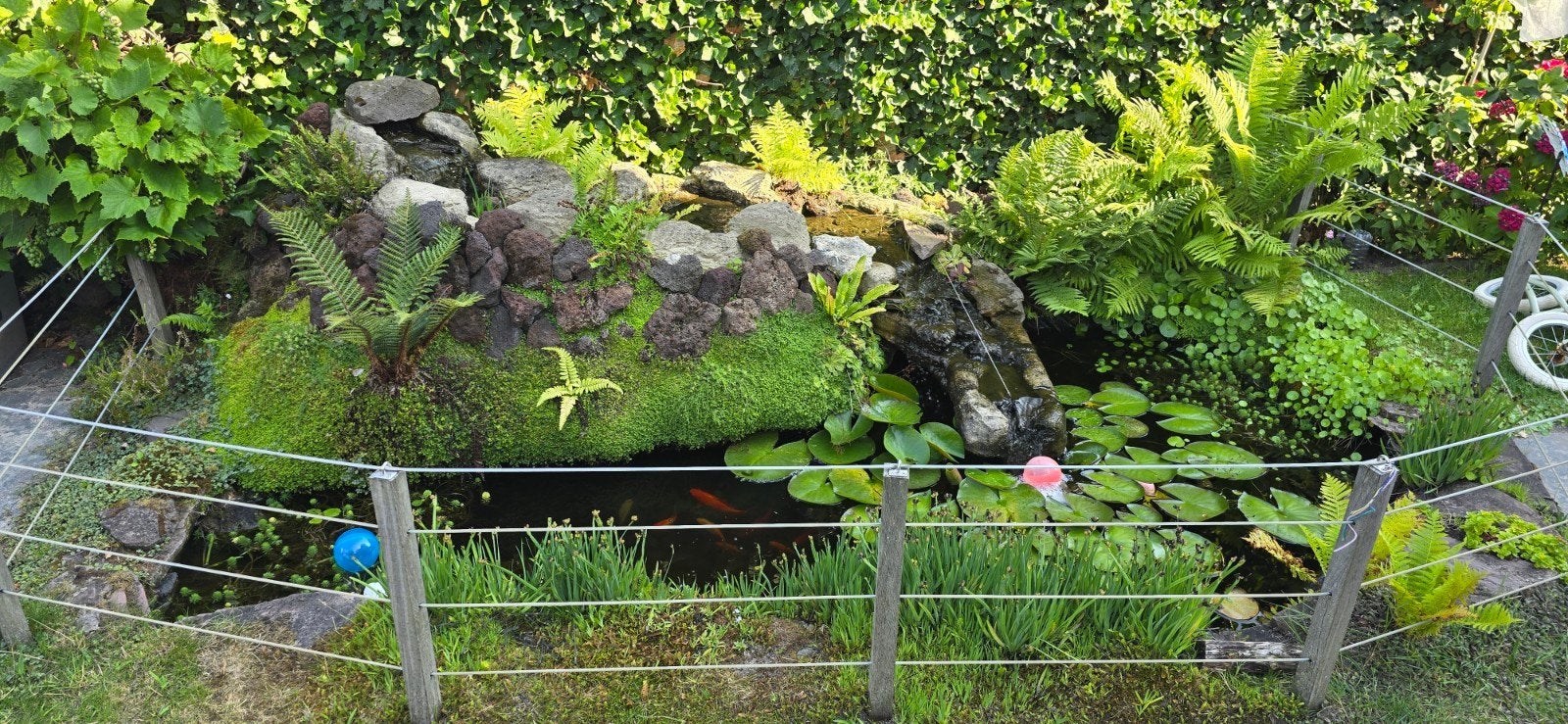 Te koop in z'n geheel een vijver met alle toebehoren., Tuin en Terras, Vijvers, Ophalen of Verzenden, Gebruikt