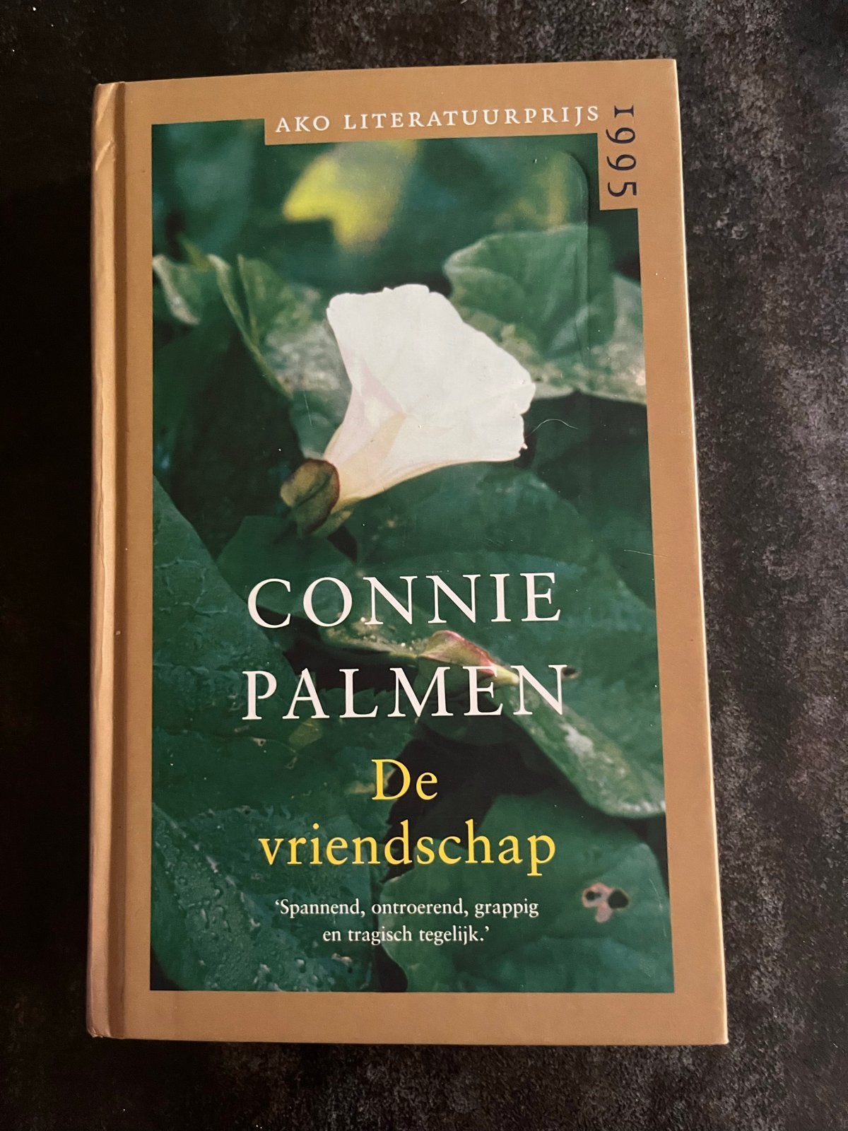 Connie Palmen - De vriendschap, Ophalen of Verzenden, Zo goed als nieuw, Connie Palmen