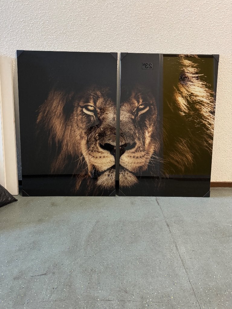 Leeuw wanddecoratie 60 x 90 cm 2 delig, Ophalen, Nieuw, 75 tot 100 cm, Schilderij