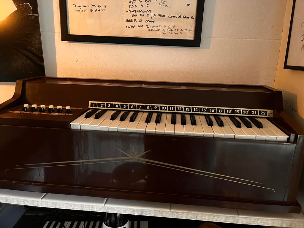 Vintage Chord Orgel, Daniël Johnston, Ophalen, Gebruikt, 1 klavier, Orgel