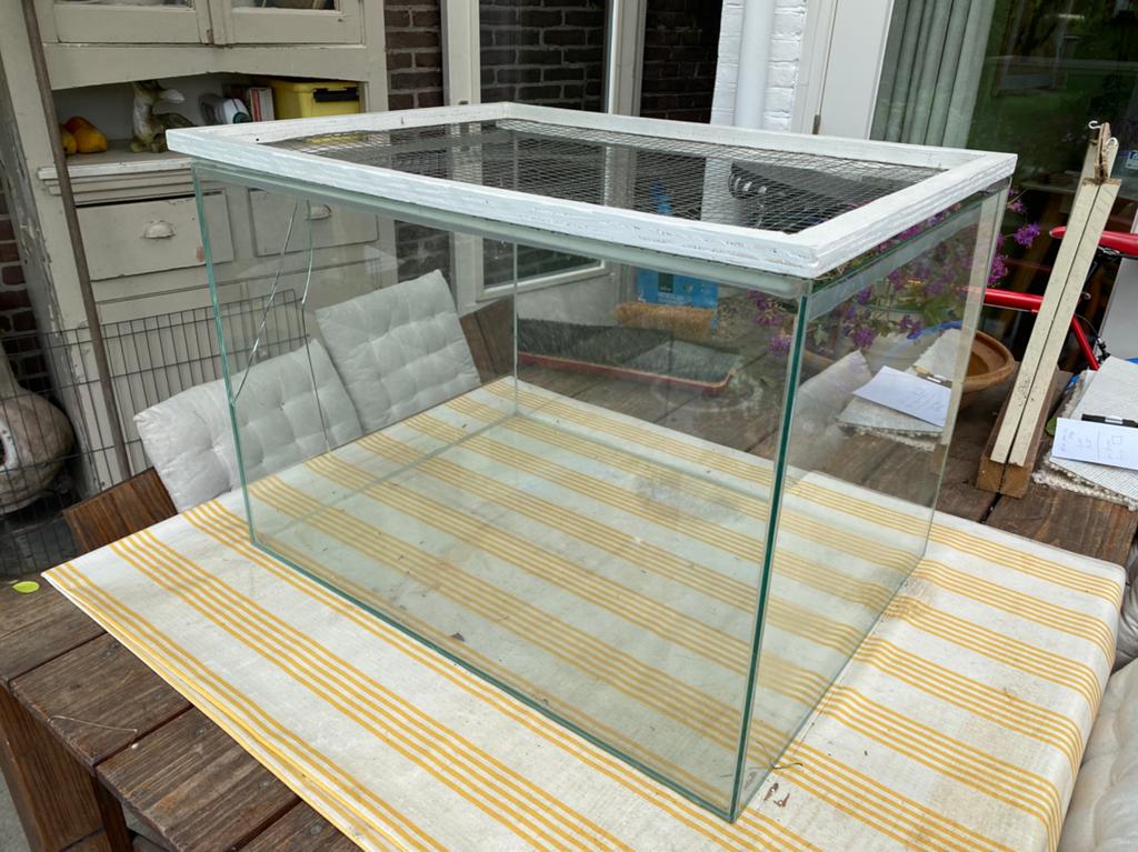 Kooi hamster of gerbil van glas, Dieren en Toebehoren, Minder dan 60 cm, Kooi, Gebruikt, Minder dan 75 cm