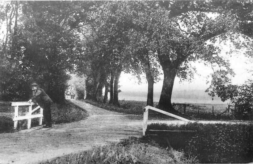 300-032-013 Ter Apel reprint, Verzamelen, Verzenden, Voor 1920, Groningen