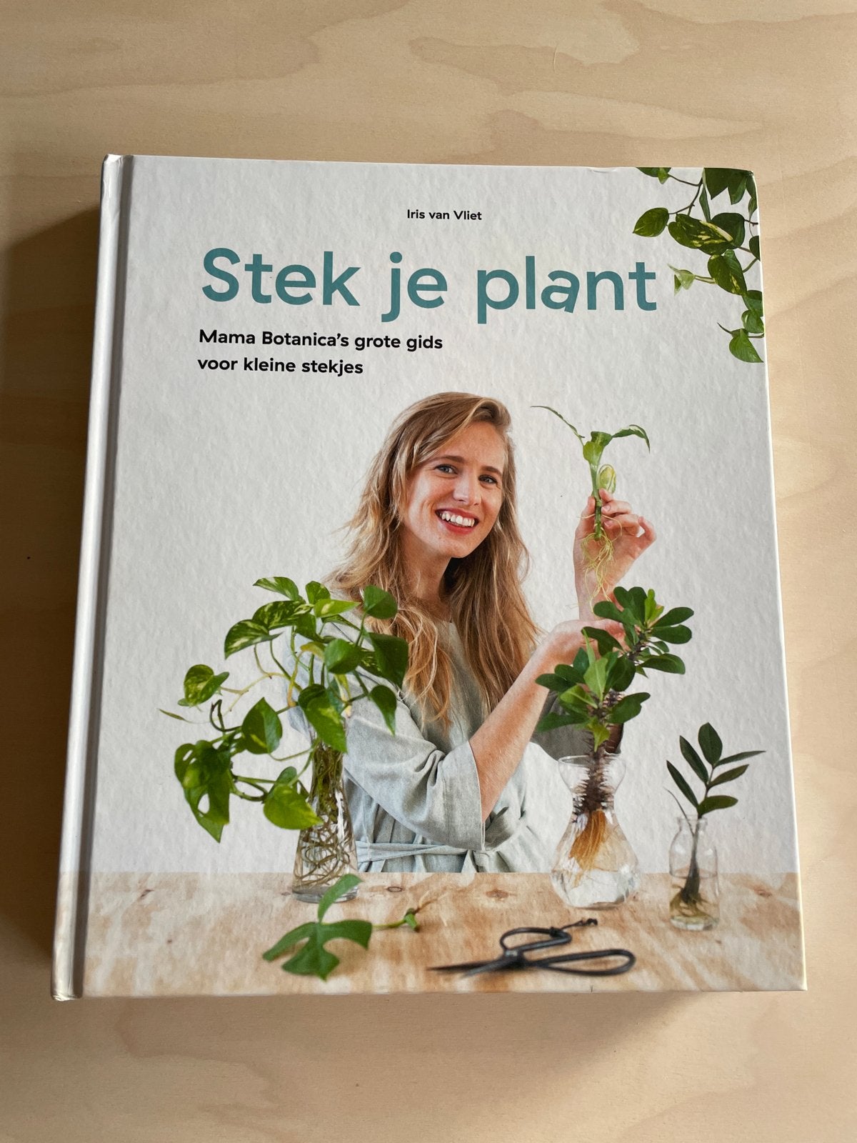 Stek je plant - Iris van Vliet, Boeken, Verzenden, Zo goed als nieuw, Kamerplanten