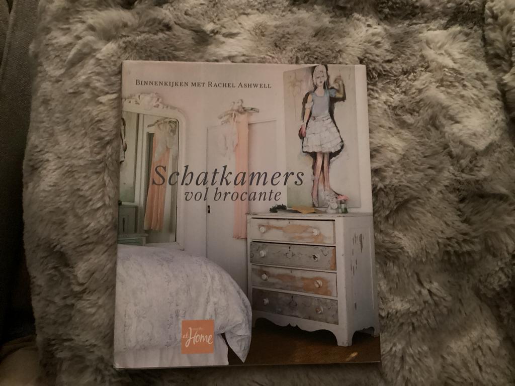Schatkamers vol Brocante - Rachel Ashwell (Interieur), Boeken, Ophalen of Verzenden, Gelezen, Interieur en Design