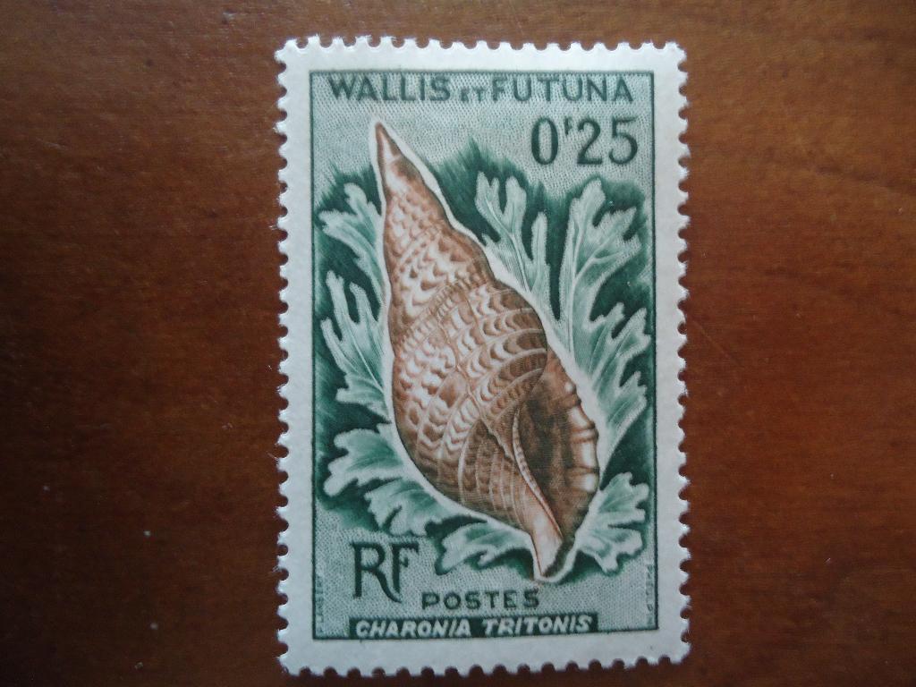 Zeeslakken Wallis et Futuna 1962, mi. 193 ongebruikt, Ophalen of Verzenden, Postfris, Dier of Natuur