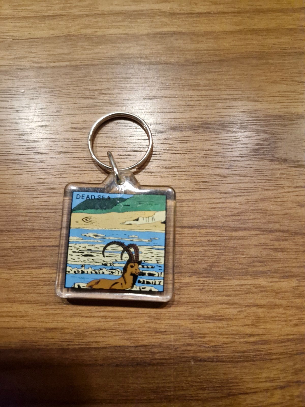 316 Dode Zee sleutelhanger met steenbok, Ophalen of Verzenden, Gebruikt, Dier of Natuur