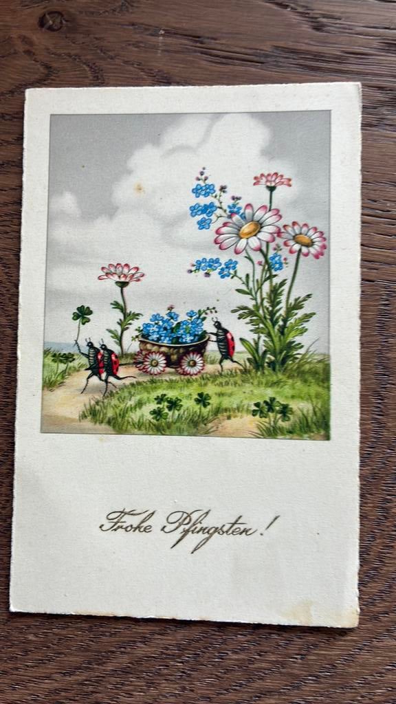 GERESERVEERD!.Lieveheersbeestjes,kar bloemen,klaver, Ophalen of Verzenden, Ongelopen