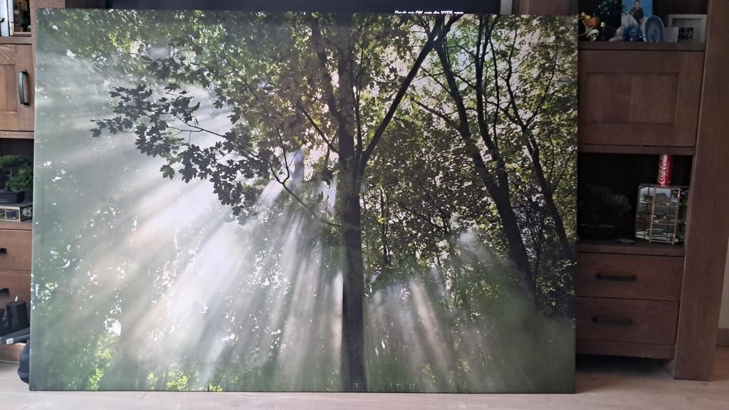 Ikea schilderij kansas bos, Huis en Inrichting, Woonaccessoires | Schilderijen, Tekeningen en Foto's, 125 cm of meer, Ophalen of Verzenden