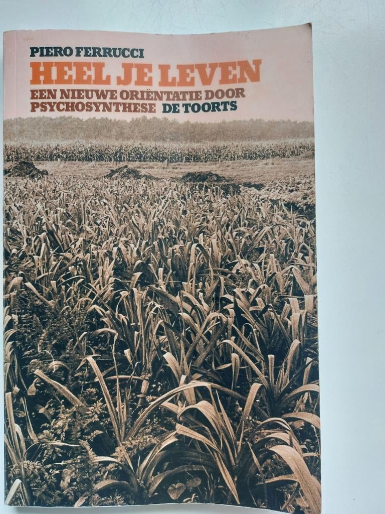 Heel je leven- Piero Ferrucci, Boeken, Ophalen of Verzenden, Spiritualiteit algemeen, Overige typen