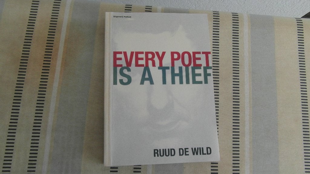 RUUD DE WILD ; zijn schilderijen en teksten, Ophalen of Verzenden, Nieuw, Schilder- en Tekenkunst