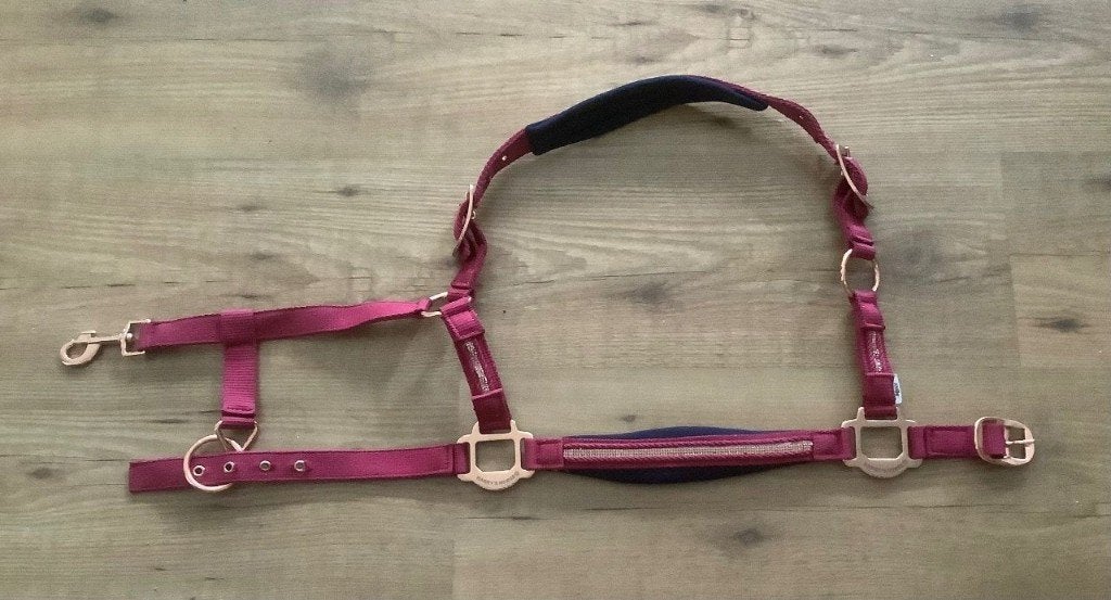 diverse halsters. Nieuw en zgan. Met gratis hoevenkrabber, Dieren en Toebehoren, Ophalen of Verzenden, Nieuw, Overige soorten